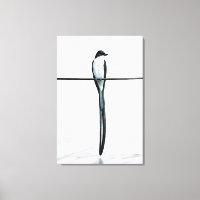 Minimalist Bird on Wire Photography