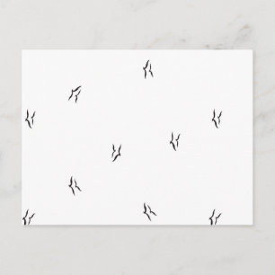 Minimalist Bird Postcard Black White Pattern Art