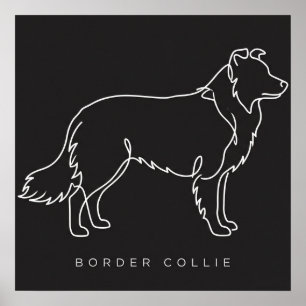 Minimalist Border Collie Line Art Dog Graphic  Poster