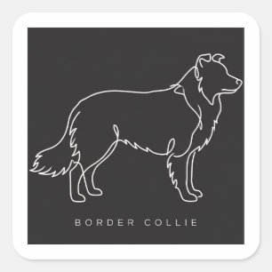 Minimalist Border Collie Line Art Dog Graphic Square Sticker