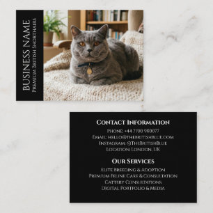 Minimalist British Shorthair Custom Black Business Card