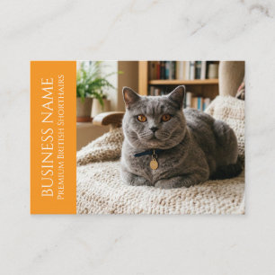 Minimalist British Shorthair Customisable Business Card