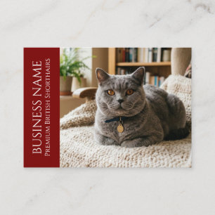 Minimalist British Shorthair Customisable Business Card