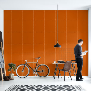 Minimalist burnt orange solid plain modern stylish wallpaper