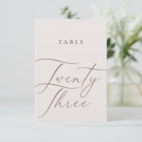 Minimalist Calligraphy Twenty Three Table Number