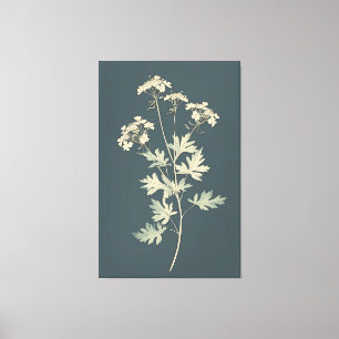 Minimalist Cilantro Leaves Canvas Print