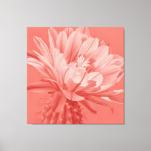 Minimalist Coral Cactus Bloom Canvas Print