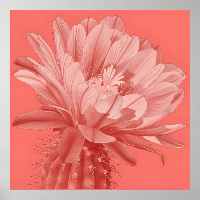 Minimalist Coral Cactus Bloom Poster (Front)