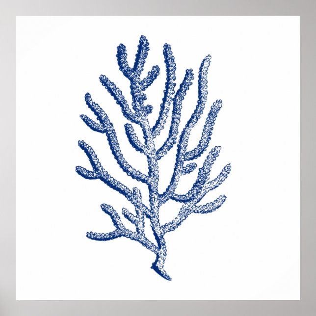 Minimalist Coral in Blue Poster (Front)