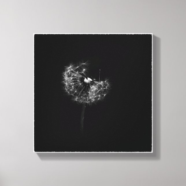 Minimalist Dandelion Gone to Seed Black and White Canvas Print (Front)