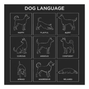 Minimalist Dog Body Language & Behaviour Chart