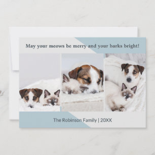 Minimalist Dog Cat Photo Collage Modern Christmas Holiday Card