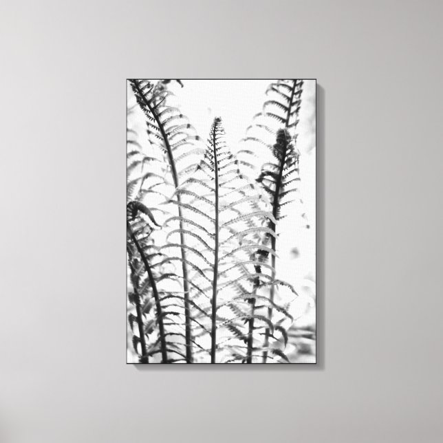 Minimalist Fern Leaves Black and White Botanical Canvas Print (Front)