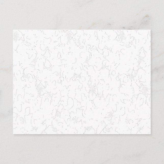 Minimalist Floral Luxury Postcard (Front)