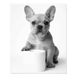 Minimalist Funny French Bulldog Guards ToiletPaper Photo Print