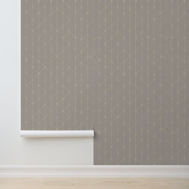 Minimalist Geometric Star Pattern on Taupe Wallpaper (Application)