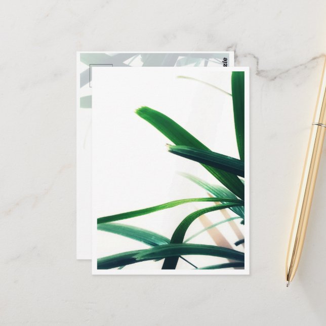 Minimalist Green Elegance Postcard (Front/Back In Situ)