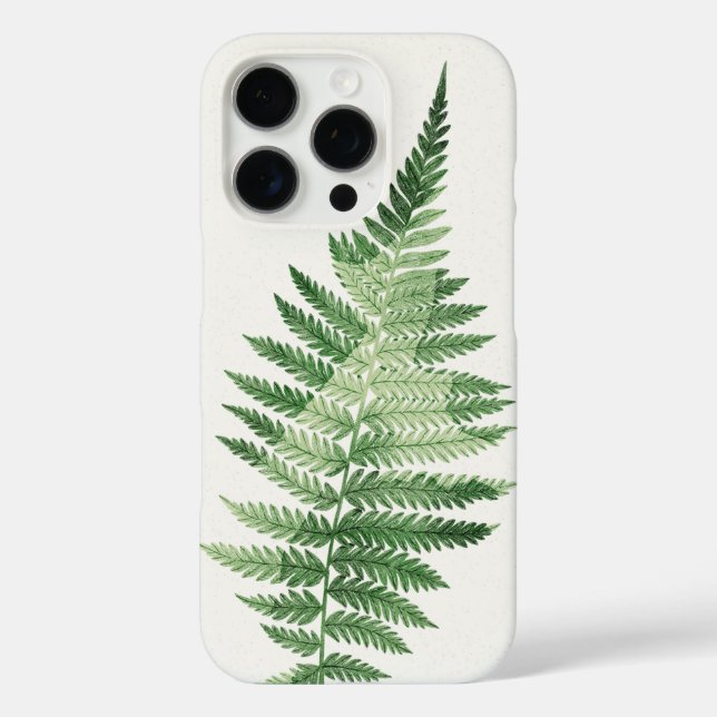 Minimalist Green Fern Botanical Illustration Case-Mate iPhone Case (Back)