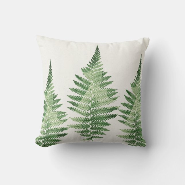 Minimalist Green Fern Botanical Illustration Cushion (Front)