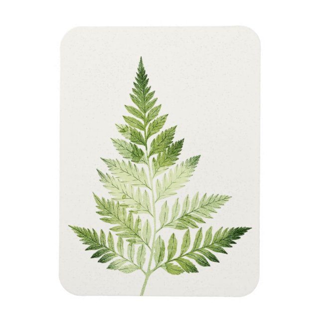 Minimalist Green Fern Botanical Illustration Magnet (Vertical)