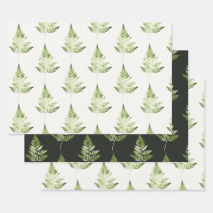 Minimalist Green Fern Botanical Illustration Wrapping Paper Sheet