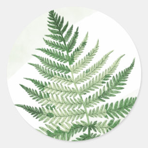Minimalist Green Fern Wedding Classic Round Sticker