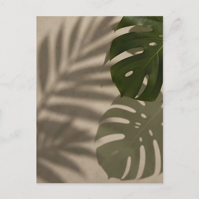 Minimalist Green Monstera Leaf Tropical Shadow Postcard (Front)