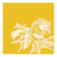 Minimalist Hibiscus Flower Line Art