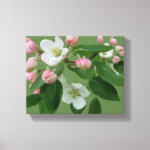 Minimalist hot pink Dutch tulips flower digital C Canvas Print