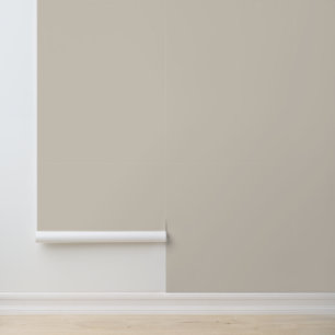 Minimalist light beige plain solid classic elegant wallpaper