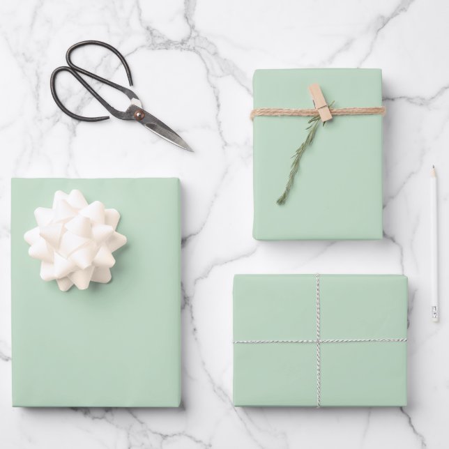 Minimalist Light Celadon Green Plain Solid Colour  Wrapping Paper Sheet (Front)