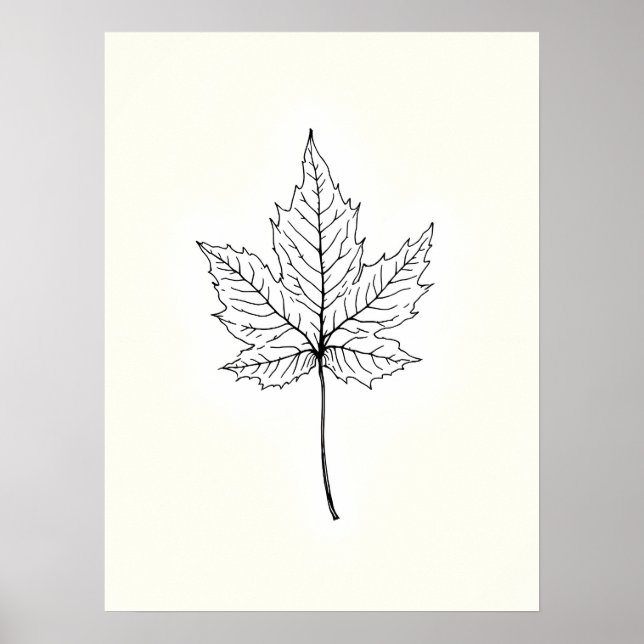 Minimalist Modern Art .Single Maple Leaf Line Art  Poster (Front)