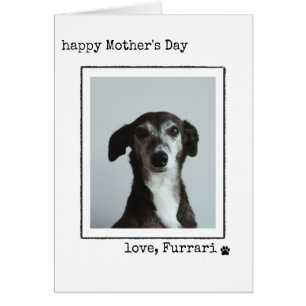 Minimalist Mother's Day Photo Card From the Dog 