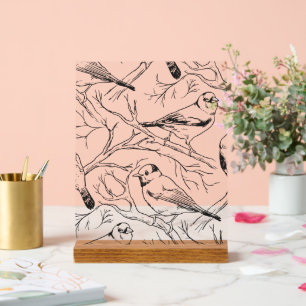 Minimalist North American Birds Line Art Pattern Acrylic Sign