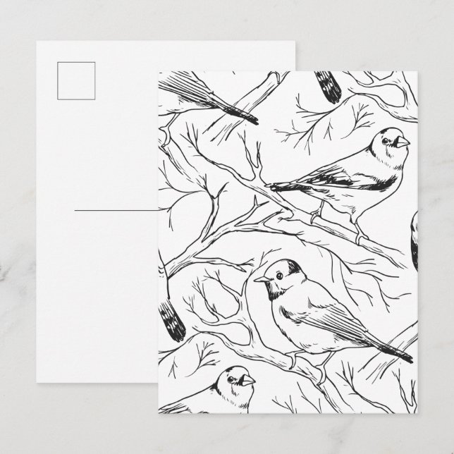 Minimalist North American Birds Line Art Pattern Postcard (Front/Back)