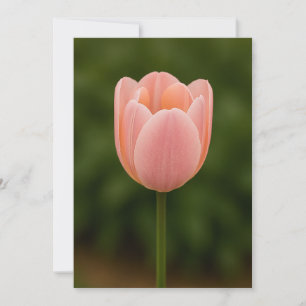 Minimalist One‑Flower Thank You Card