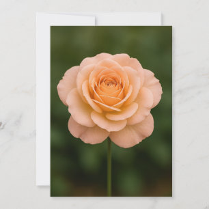 Minimalist One‑Flower Thank You Card
