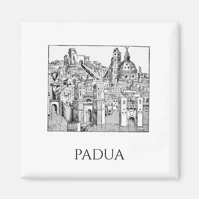 Minimalist Padua Medieval Skyline Line Art Magnet (Front)