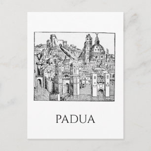 Minimalist Padua Medieval Skyline Line Art Postcard