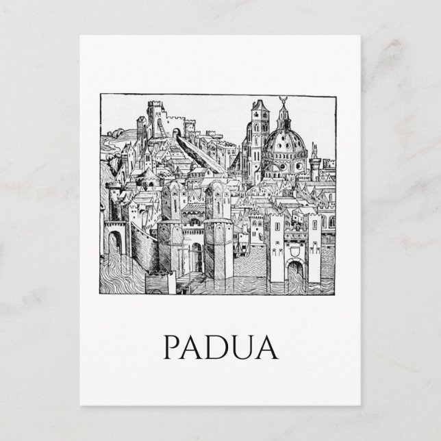 Minimalist Padua Medieval Skyline Line Art Postcard (Front)