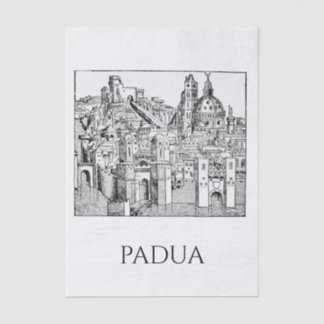 Minimalist Padua Medieval Skyline Line Art Tissue Paper