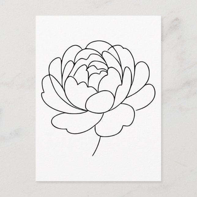 Minimalist Peony Bloom Line Art  Postcard (Front)