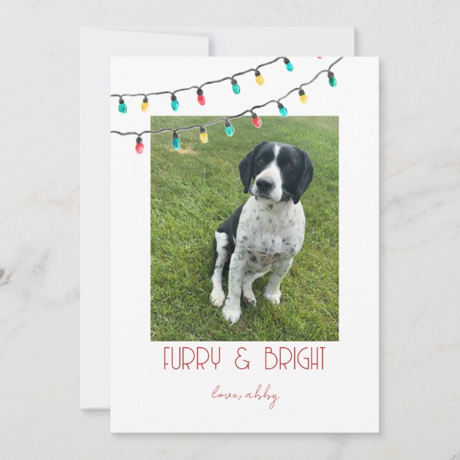 Minimalist Pet Christmas Card - Furry and Bright (Front)