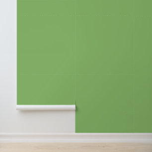 Minimalist pistachio green plain solid modern chic wallpaper