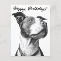 Minimalist Pitbull Black and White Birthday Card