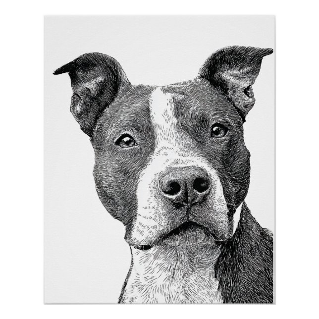 Minimalist Pitbull Silhouette Black and White Poster (Front)
