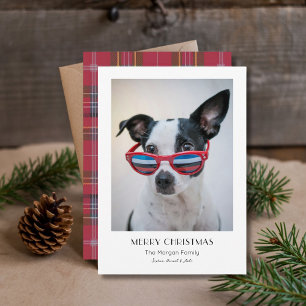 Minimalist Plaid Christmas Funny Dog Pet Photo Holiday Card