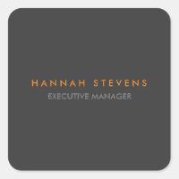Minimalist Plain Grey Professional Modern