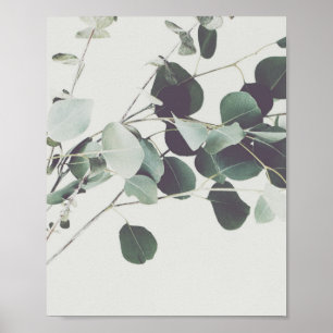 Minimalist Plant Photography Fine Art Poster