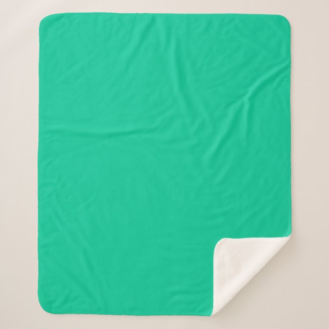 Minimalist Professional Solid Caribbean Green Sherpa Blanket (Front)